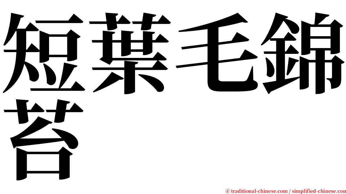 短葉毛錦苔 serif font