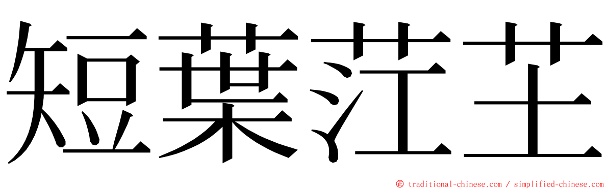 短葉茳芏 ming font