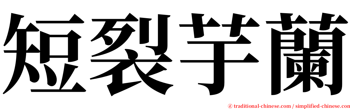 短裂芋蘭 serif font