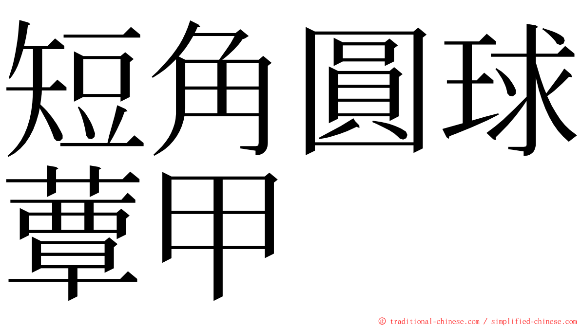 短角圓球蕈甲 ming font