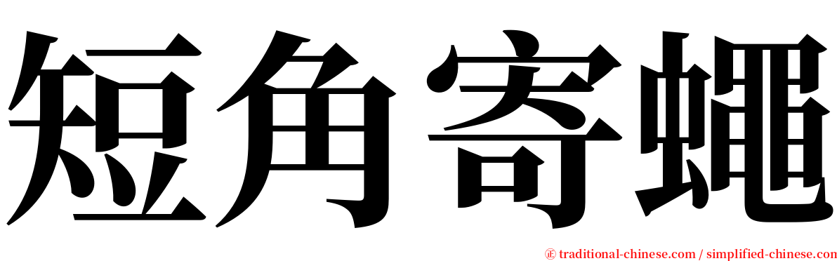 短角寄蠅 serif font