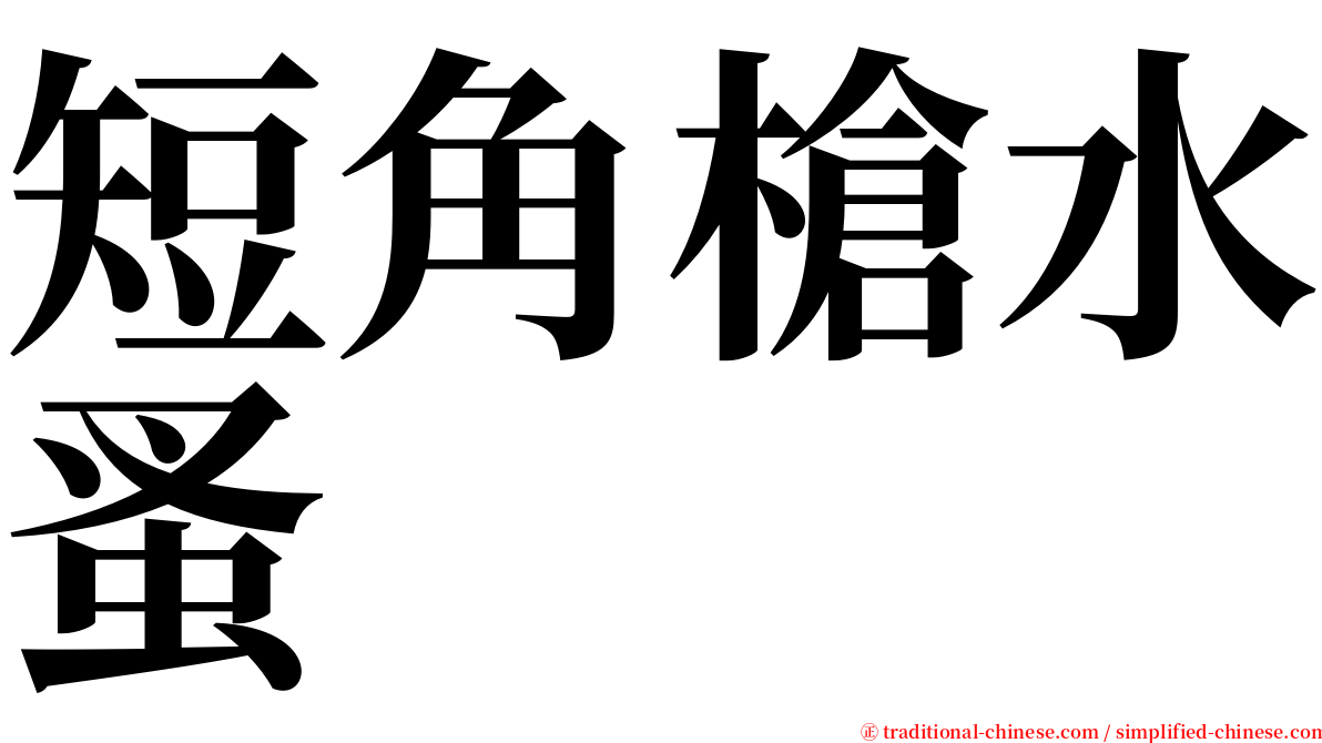 短角槍水蚤 serif font