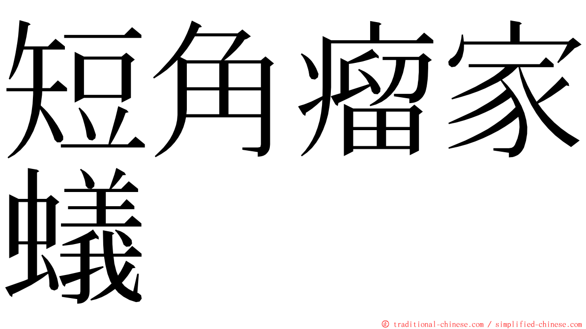 短角瘤家蟻 ming font