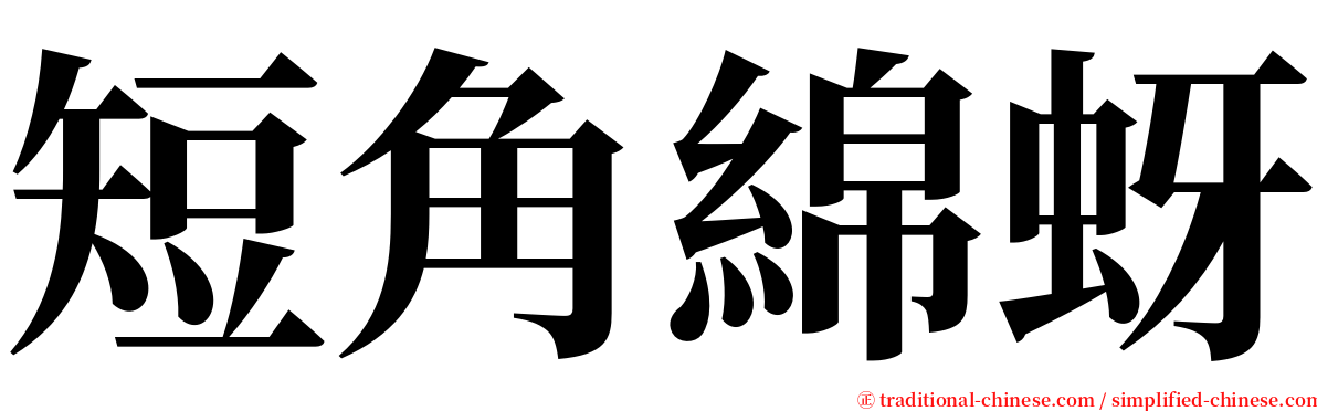 短角綿蚜 serif font