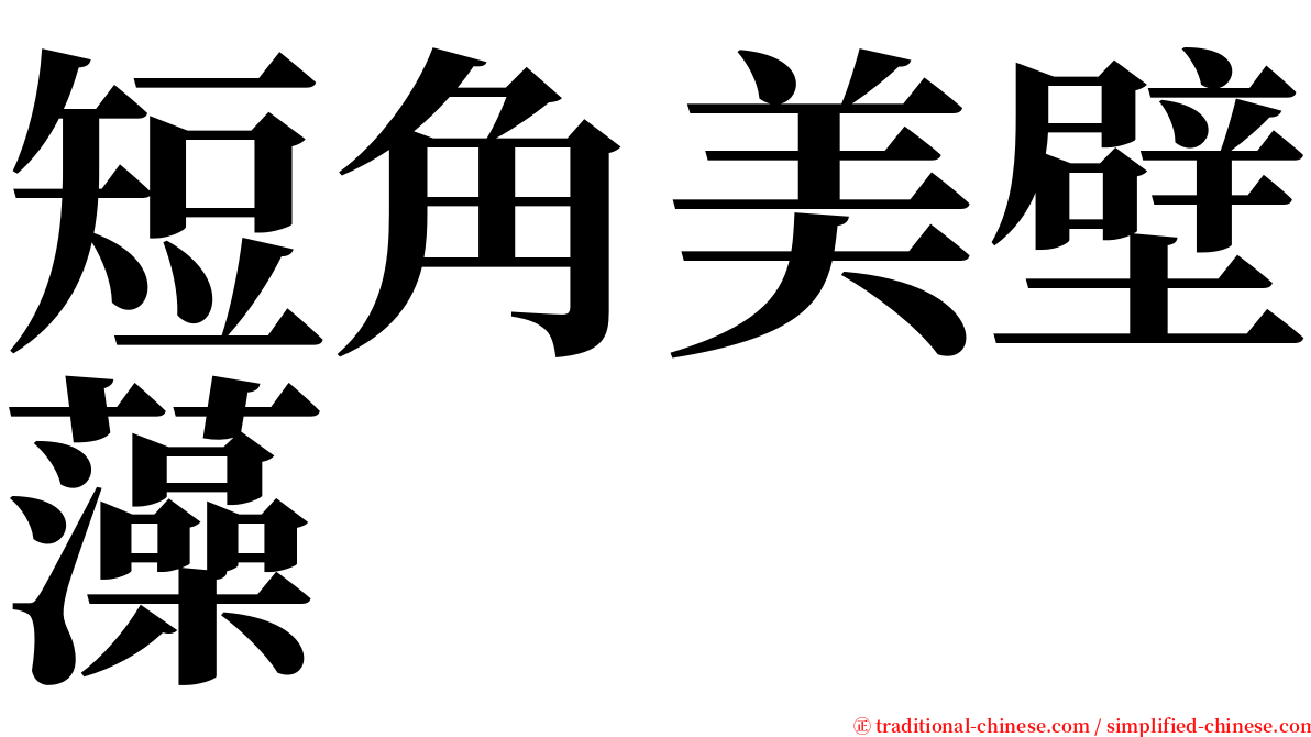 短角美壁藻 serif font