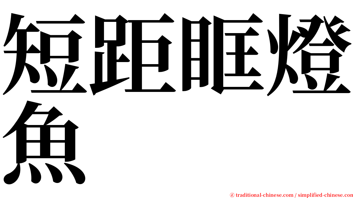 短距眶燈魚 serif font