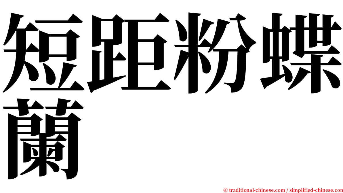 短距粉蝶蘭 serif font