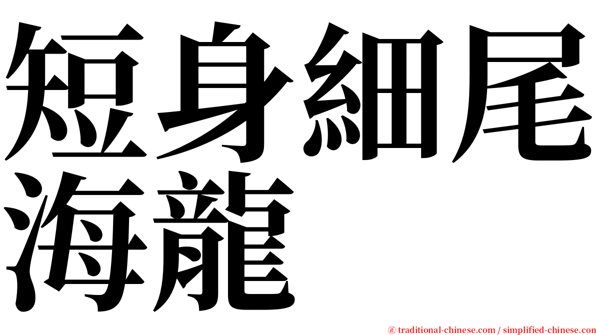短身細尾海龍 serif font