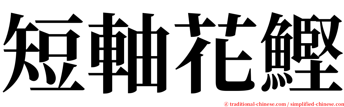 短軸花鰹 serif font