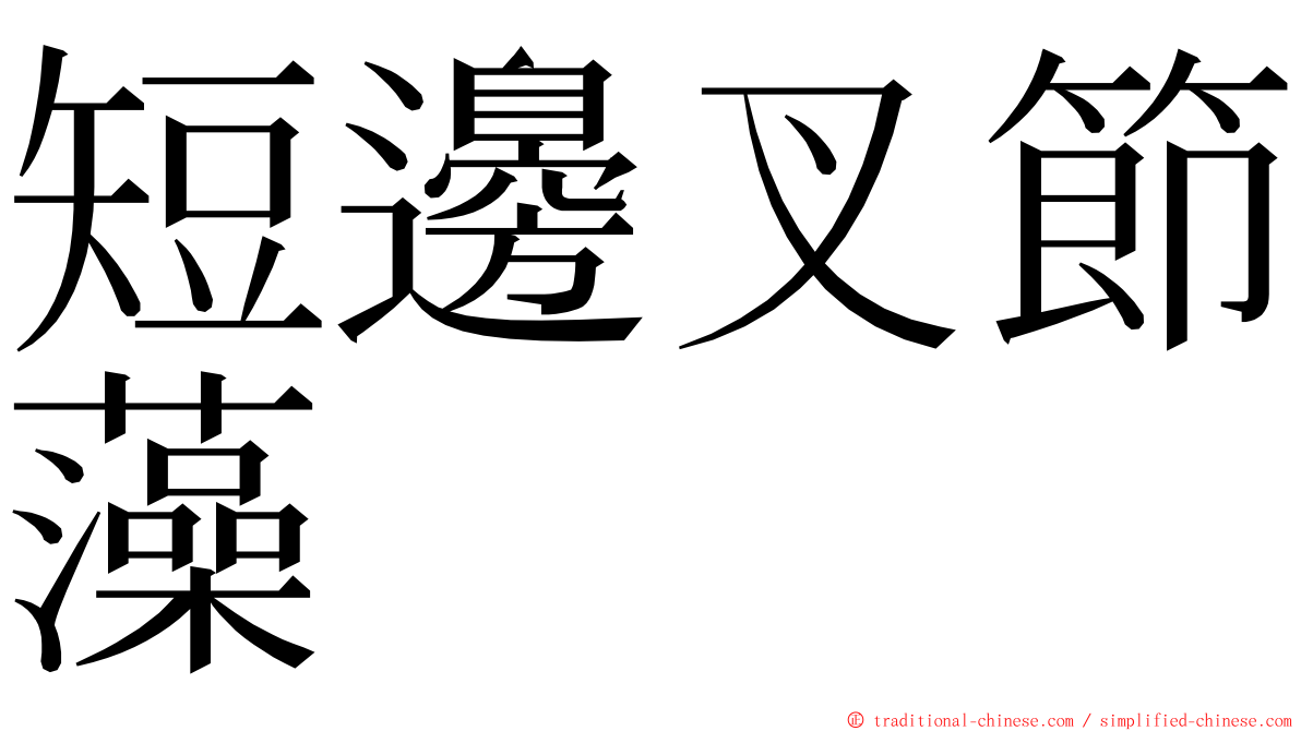 短邊叉節藻 ming font