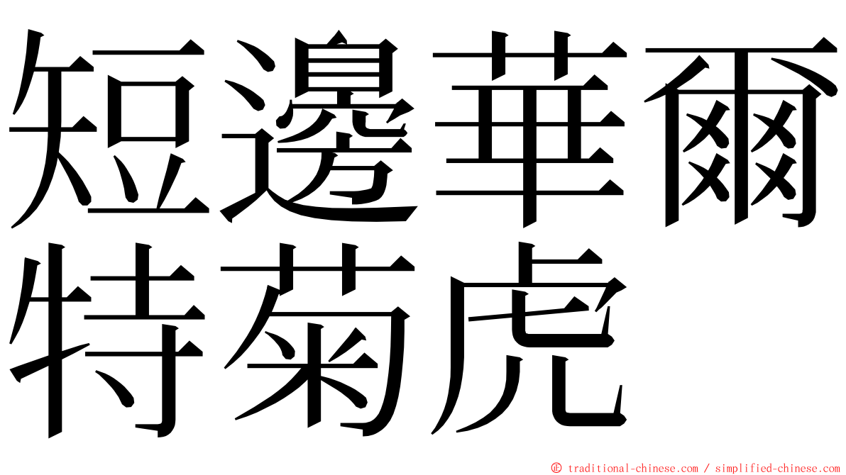 短邊華爾特菊虎 ming font