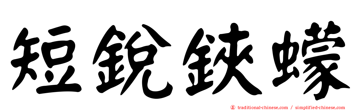 短銳鋏蠓