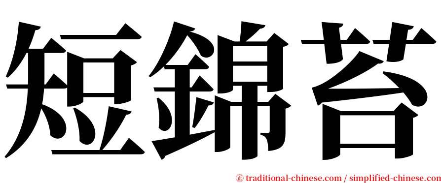 短錦苔 serif font