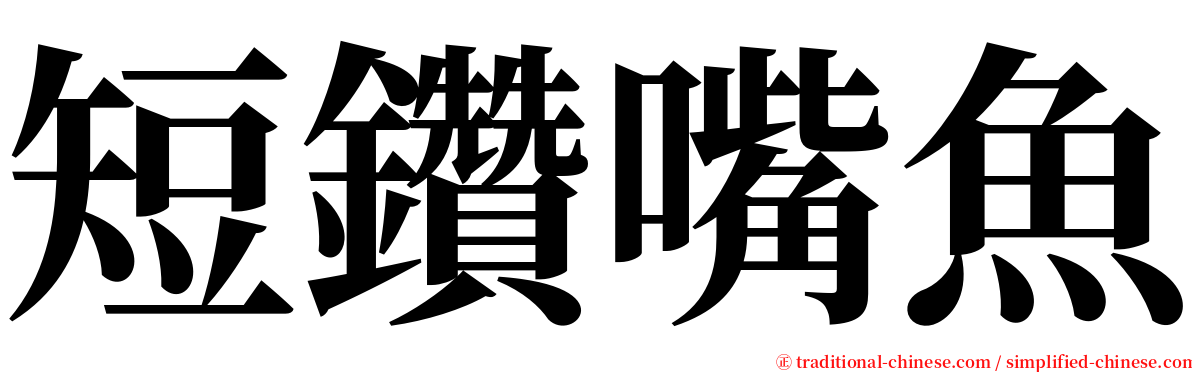 短鑽嘴魚 serif font