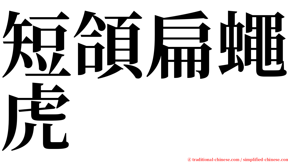 短頜扁蠅虎 serif font