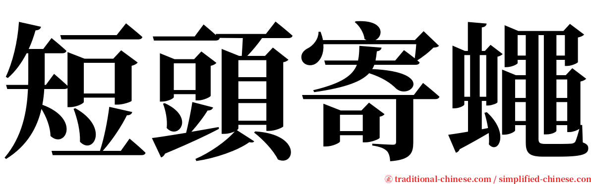 短頭寄蠅 serif font