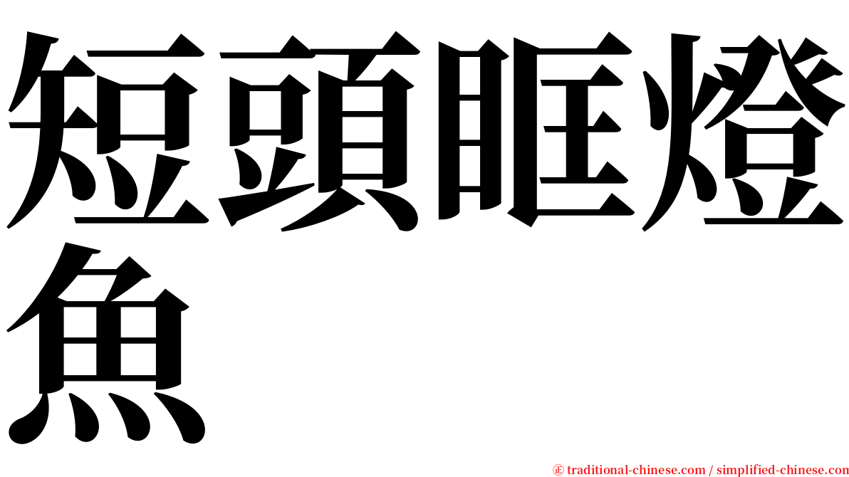 短頭眶燈魚 serif font