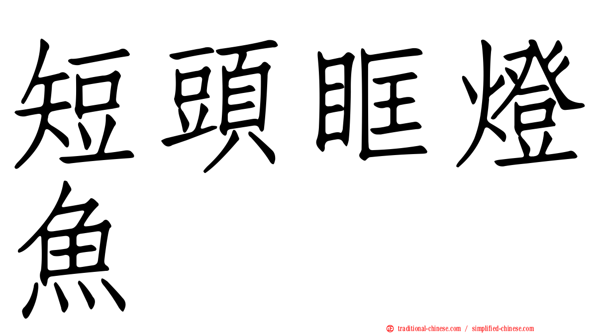 短頭眶燈魚