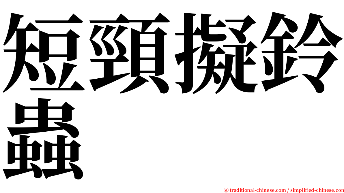 短頸擬鈴蟲 serif font