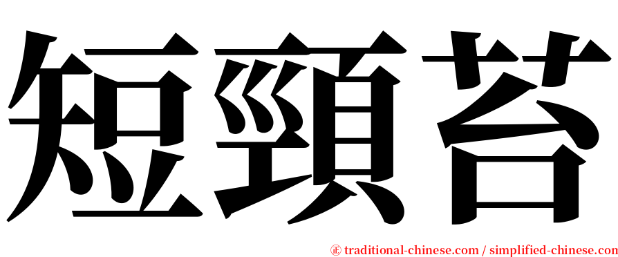 短頸苔 serif font