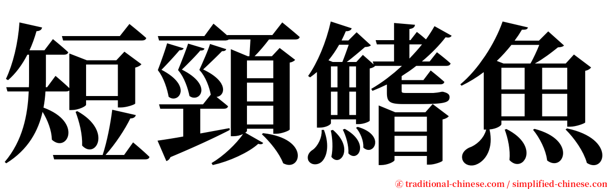 短頸鰭魚 serif font