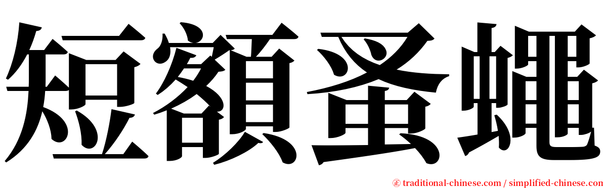 短額蚤蠅 serif font