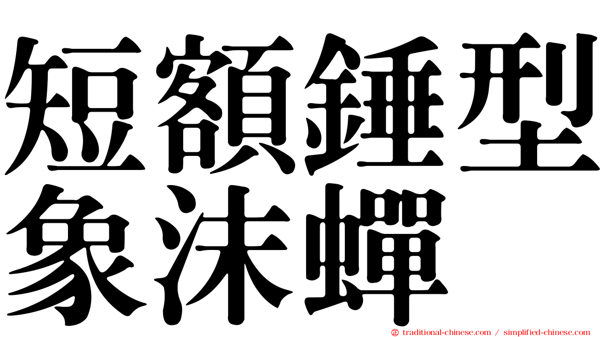 短額錘型象沫蟬