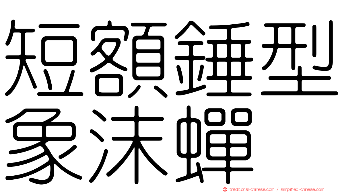 短額錘型象沫蟬