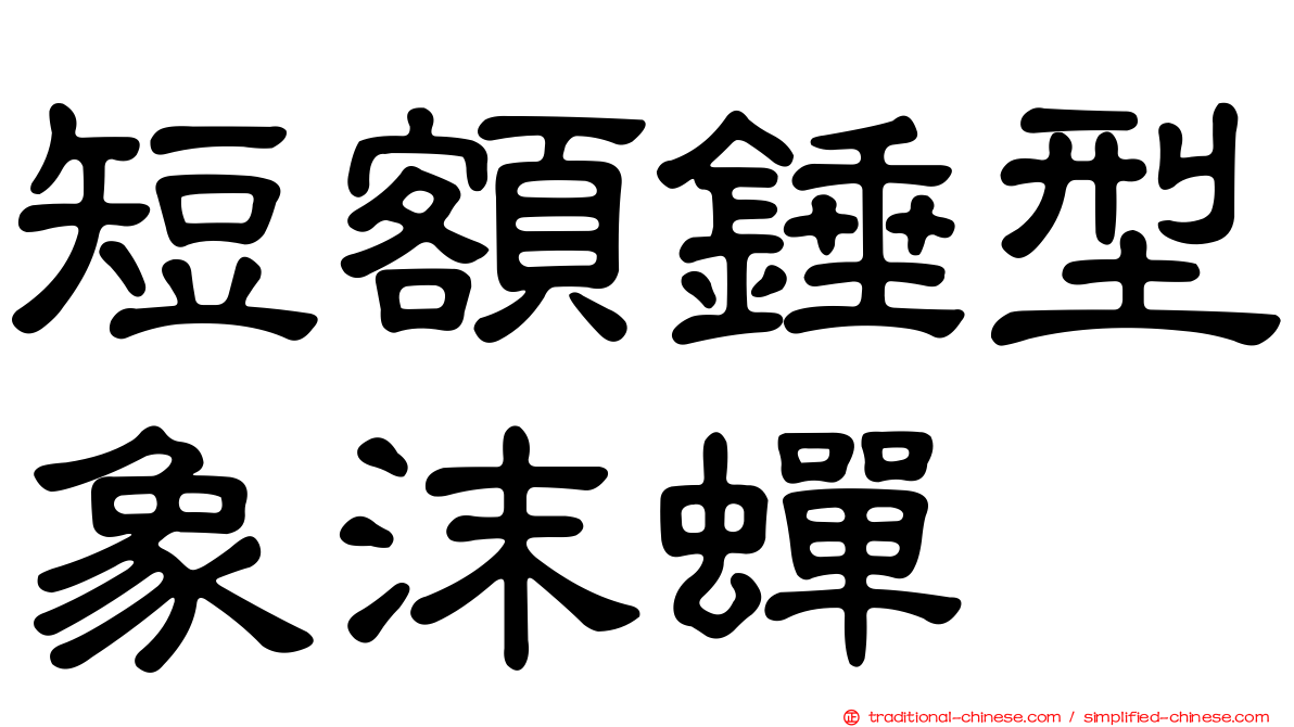 短額錘型象沫蟬