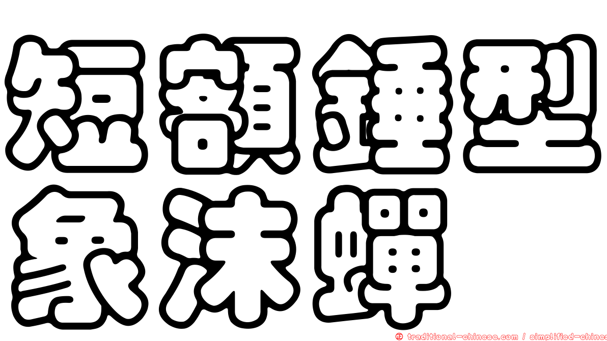 短額錘型象沫蟬