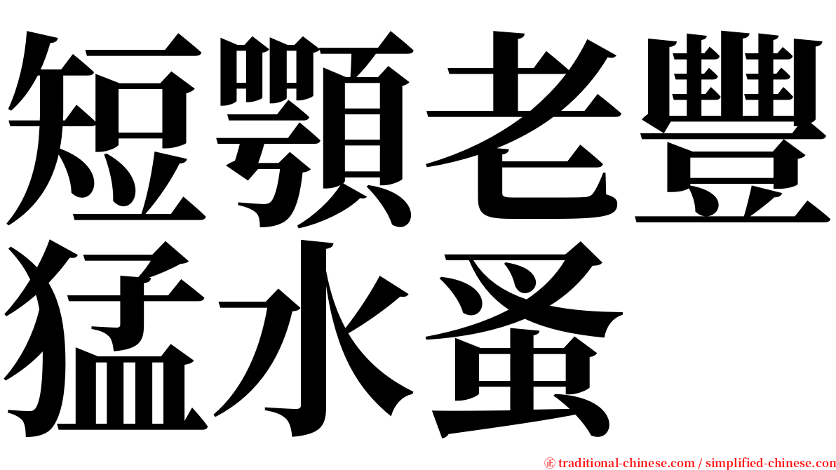 短顎老豐猛水蚤 serif font