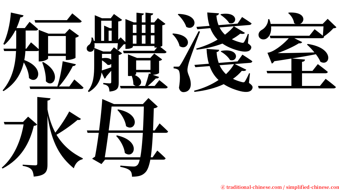 短體淺室水母 serif font