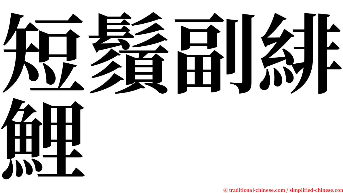 短鬚副緋鯉 serif font