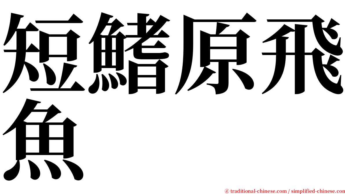 短鰭原飛魚 serif font