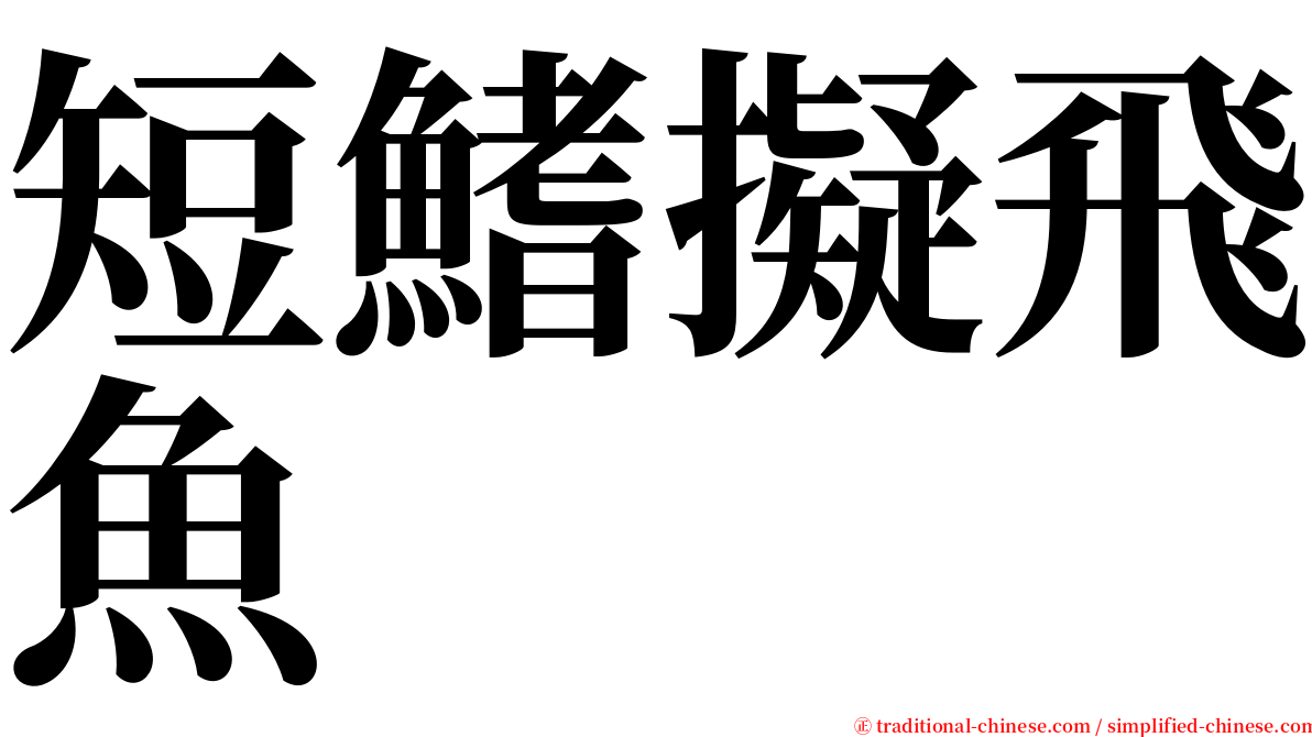 短鰭擬飛魚 serif font