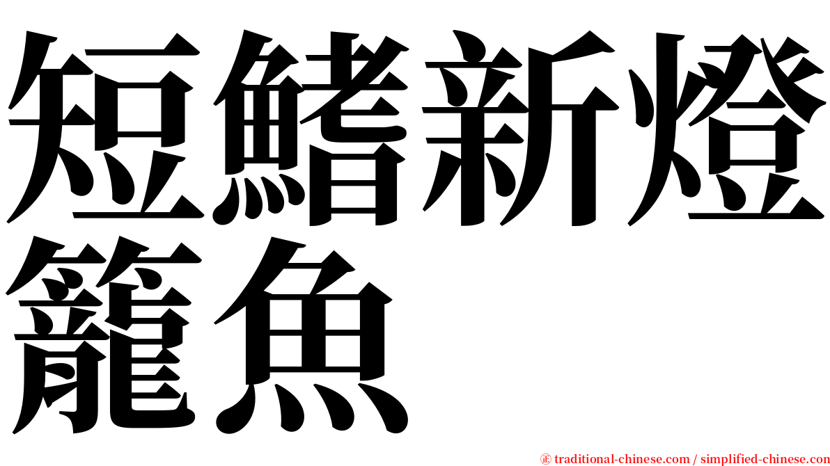 短鰭新燈籠魚 serif font