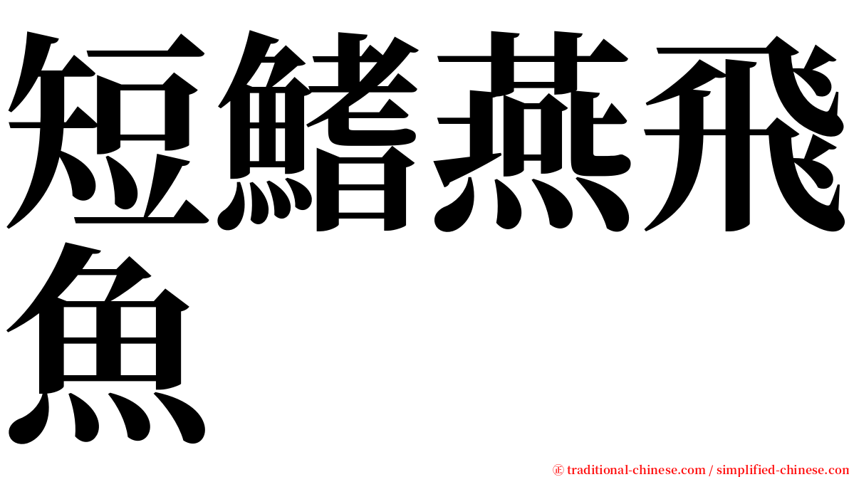 短鰭燕飛魚 serif font