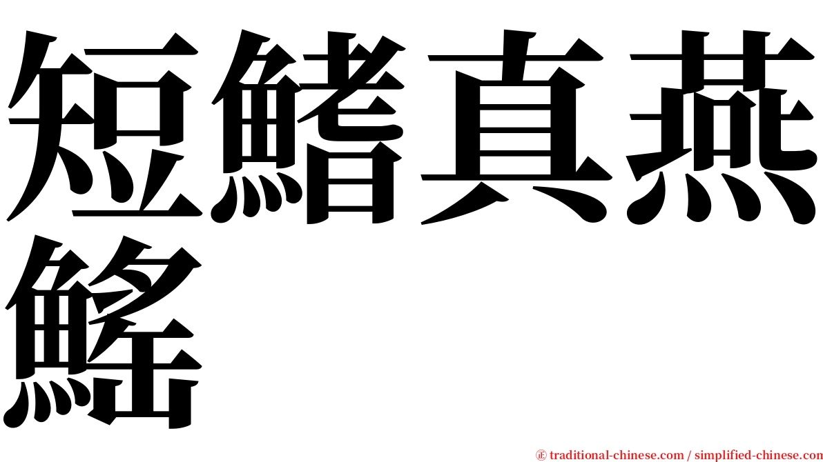 短鰭真燕鰩 serif font