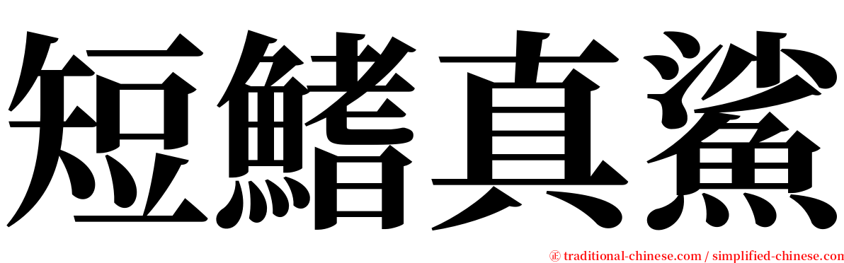 短鰭真鯊 serif font