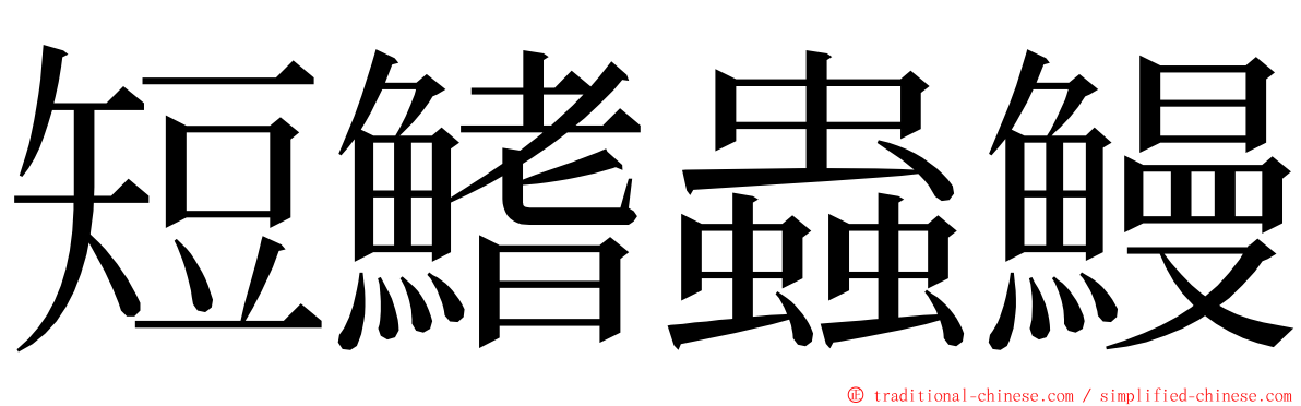 短鰭蟲鰻 ming font