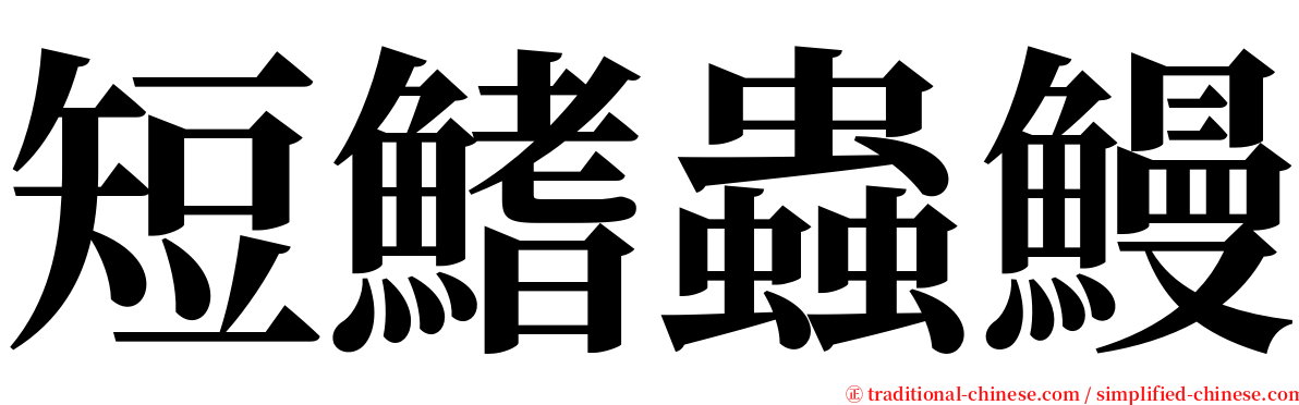 短鰭蟲鰻 serif font