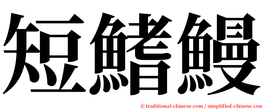 短鰭鰻 serif font