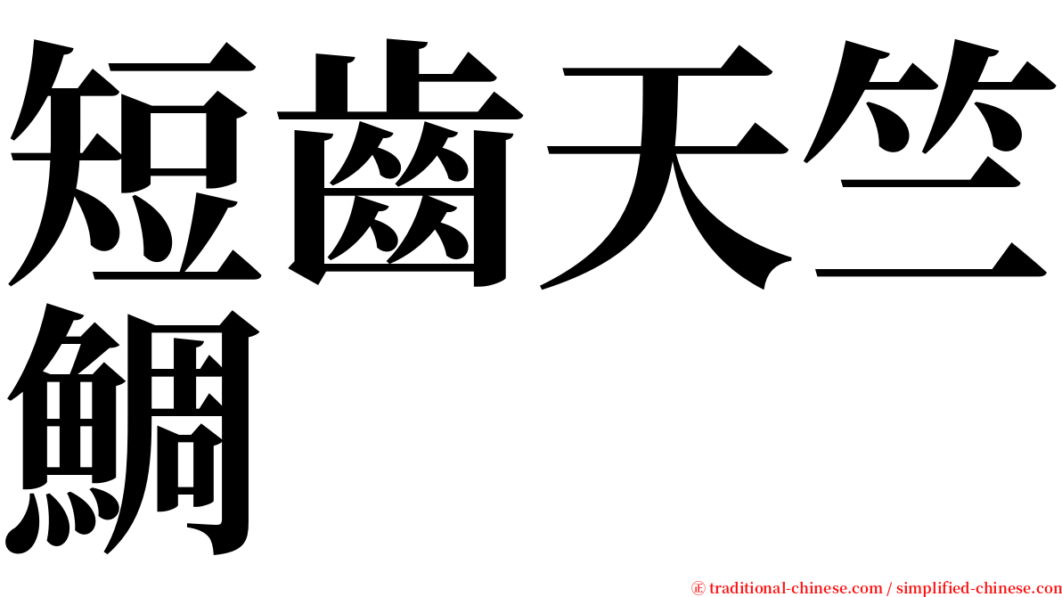 短齒天竺鯛 serif font