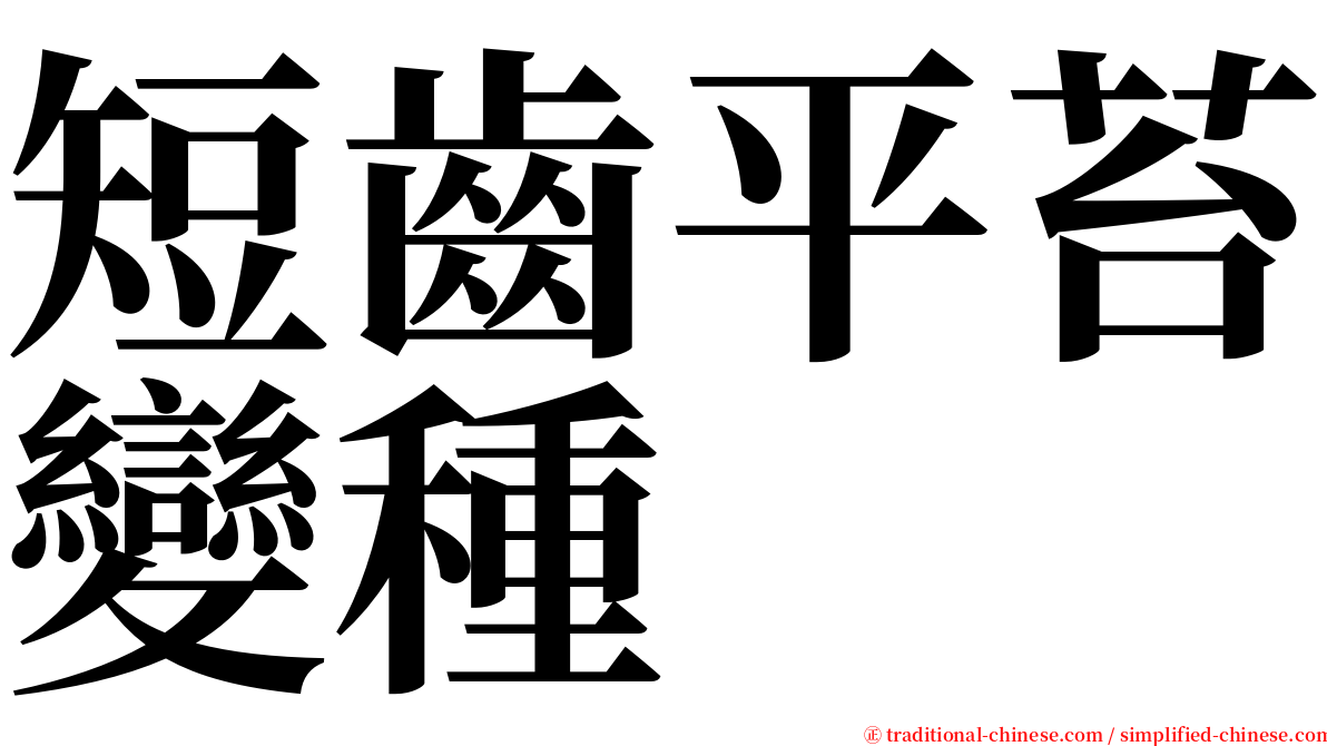 短齒平苔變種 serif font