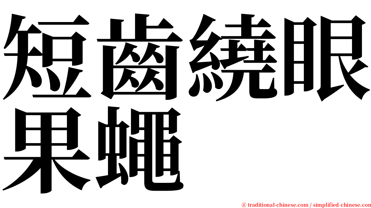 短齒繞眼果蠅 serif font