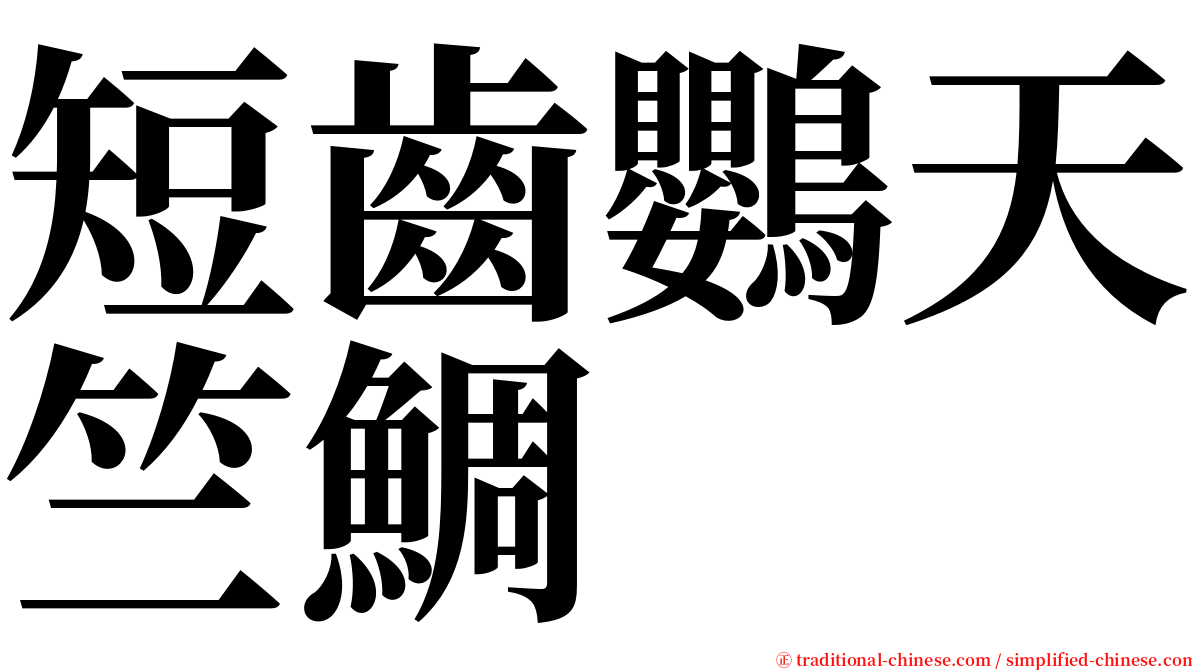 短齒鸚天竺鯛 serif font