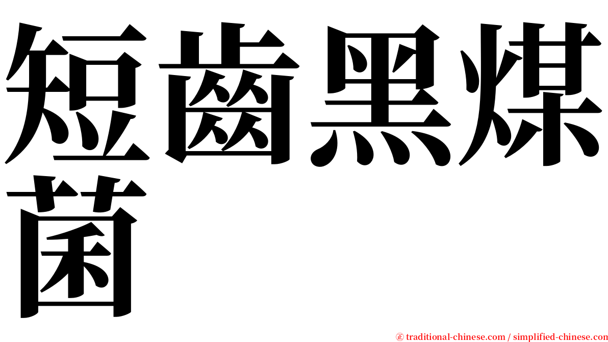 短齒黑煤菌 serif font