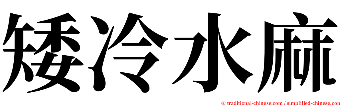 矮冷水麻 serif font