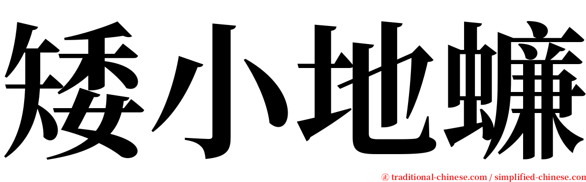 矮小地蠊 serif font