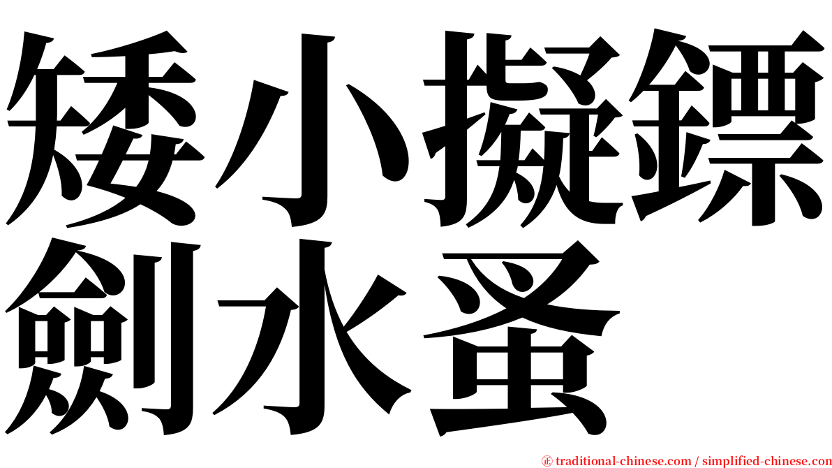 矮小擬鏢劍水蚤 serif font